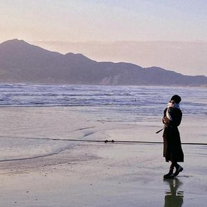 亚洲综合成人无码
