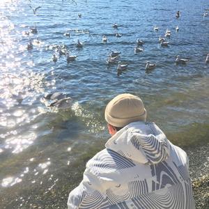 亚洲综合成人无码
